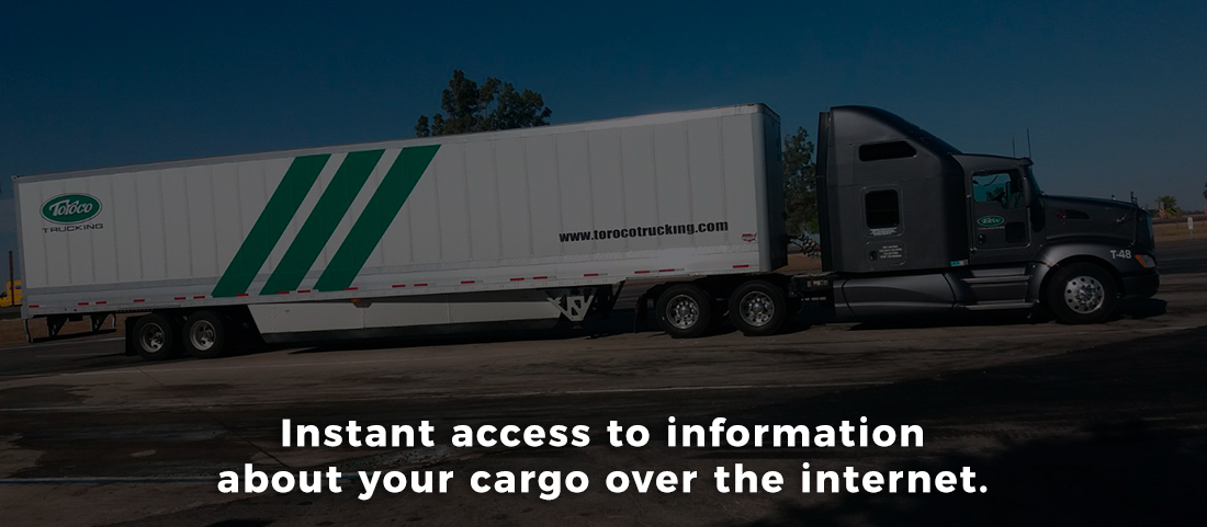 instant access to information about your freight/cargo